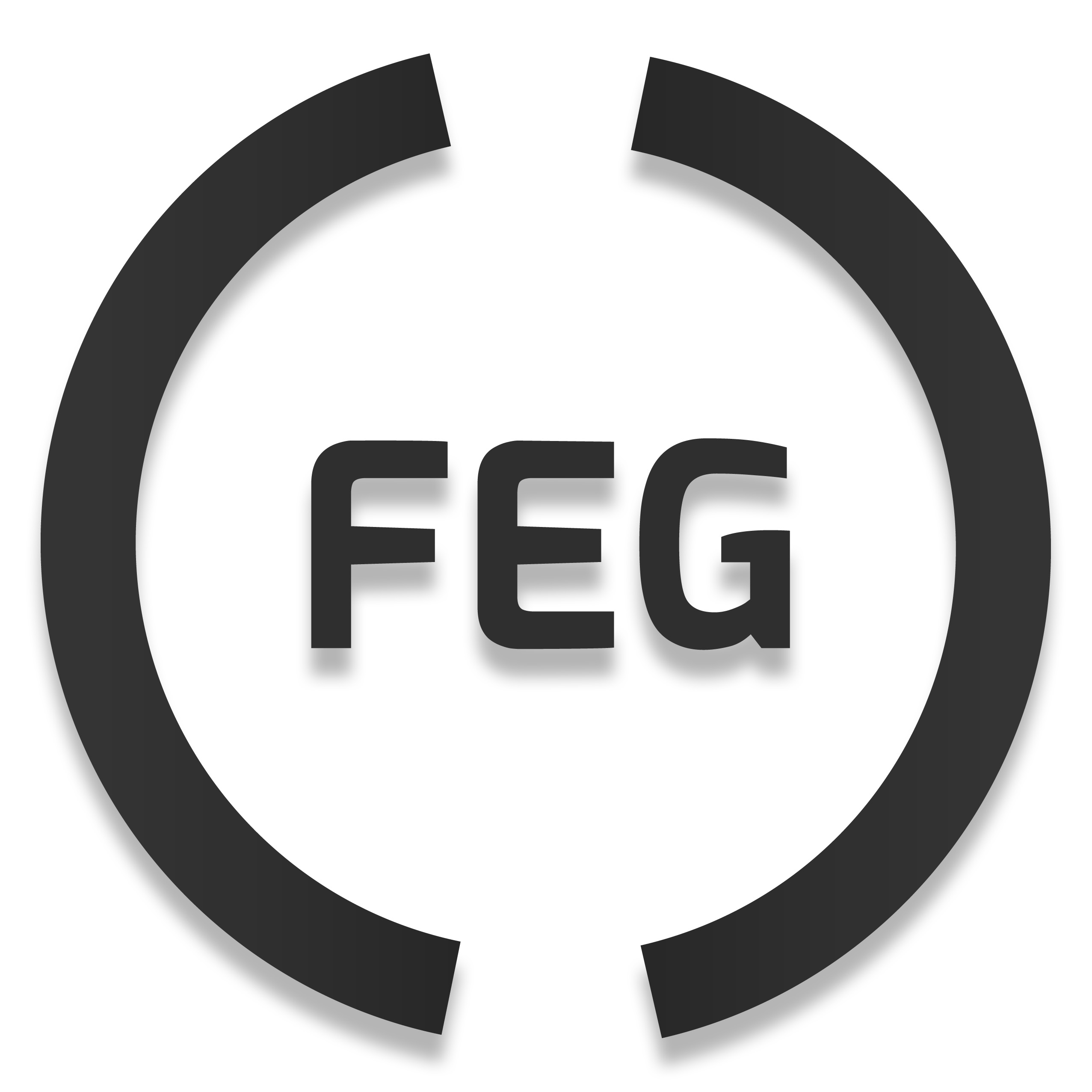 FEG Ltd
